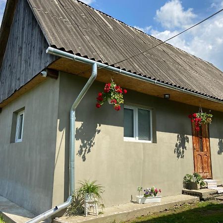 Біля Саду Volovets Eksteriør billede