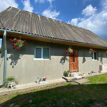 Біля Саду Volovets Eksteriør billede