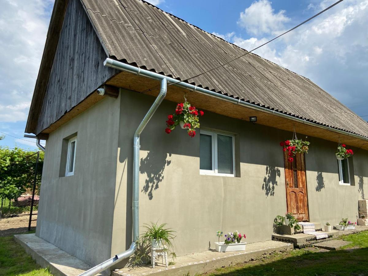 Біля Саду Volovets Eksteriør billede
