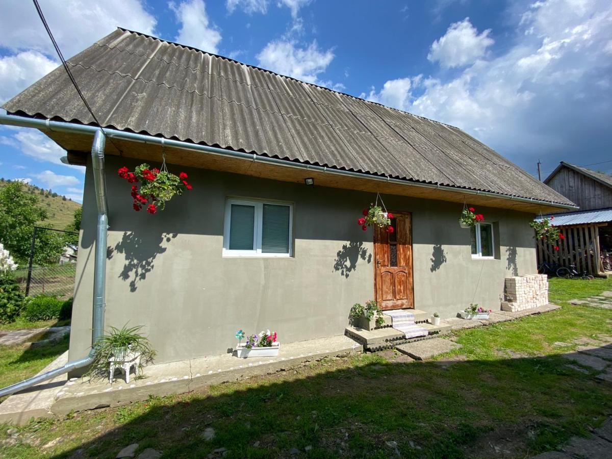 Біля Саду Volovets Eksteriør billede
